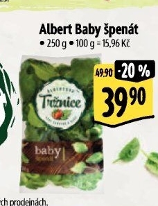 Špenát baby Albert