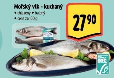 Vlk mořský kuchaný Albert