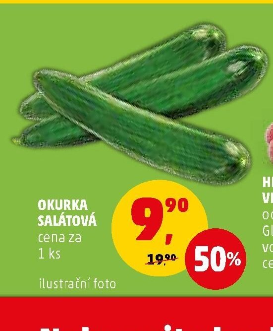 Okurka salátová