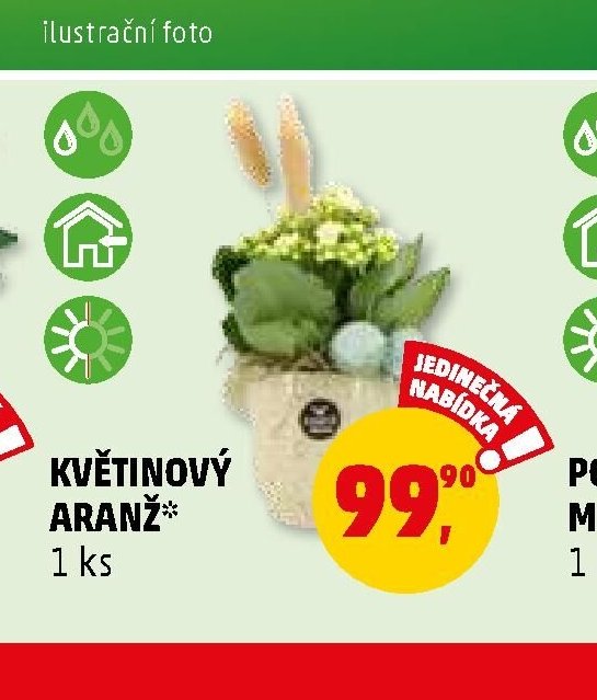 Květinový aranž