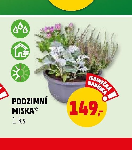 Podzimní miska