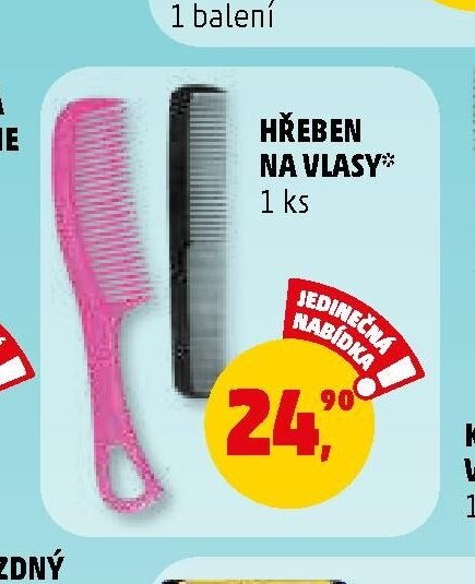 HŘEBEN NA VLASY*