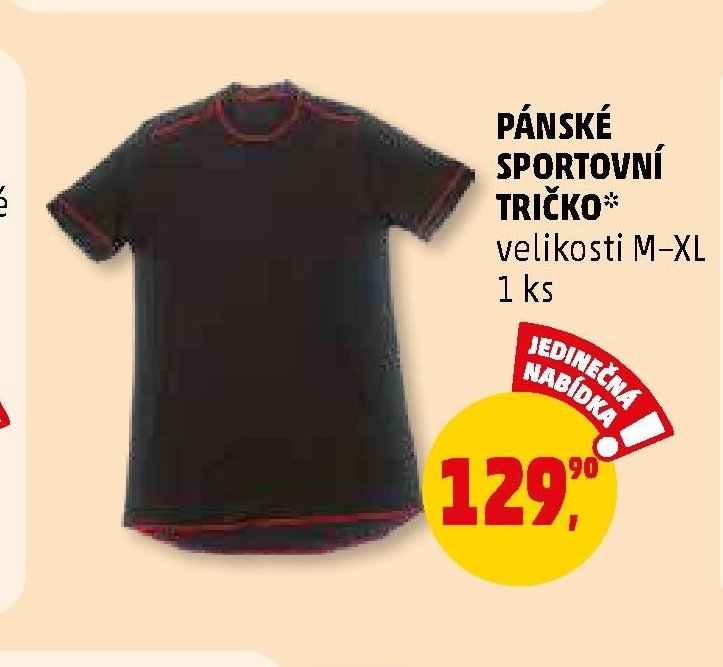 PÁNSKÉ SPORTOVNÍ TRIČKO*
