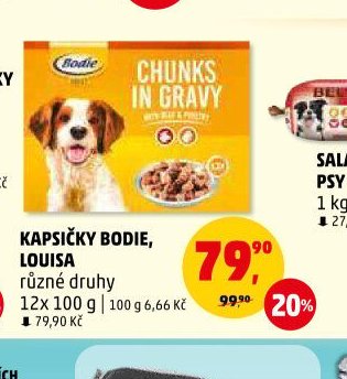 KAPSIČKY BODIE, LOUISA