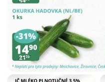 Okurka hadovka (nl/be)