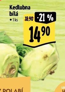 Kedlubna bílá