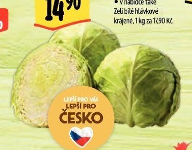 Zelí bílé hlávkové