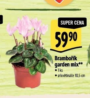 Brambořík garden mix**