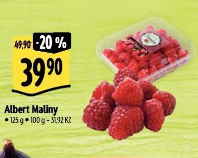 Albert Maliny