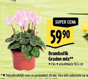Brambořík Graden mix