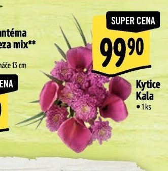 Kytice Kala