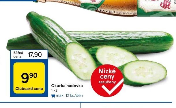 Okurka hadovka