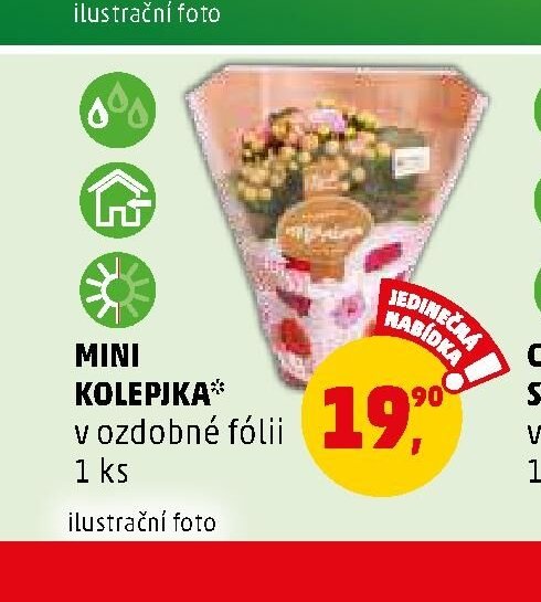 MINI KOLEPIJKA v ozdobné fólii