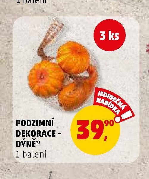 PODZIMNÍ DEKORACE - DÝNĚ