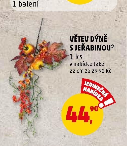 VĚTEV DÝNĚ S JEŘABINOU