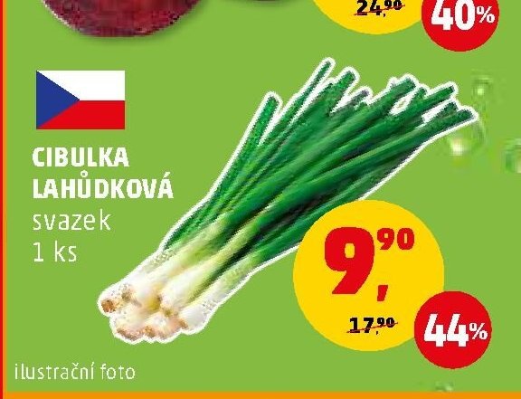 CIBULKA LAHŮDKOVÁ