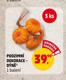 PODZIMNÍ DEKORACE - DÝNĚ*