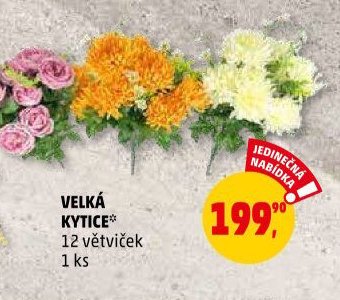 VELKÁ KYTICE*