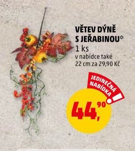 VĚTEV DÝNĚ S JEŘABINOU*