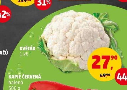 KVĚTÁK 1 ks