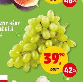 Hrozny révy vinné bílé