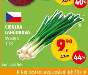 Cibulka lahůdková