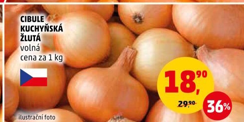 Cibule kuchyňská žlutá