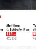 Chryzantéma Multiflora - UNI HOBBY akcniletaky.com