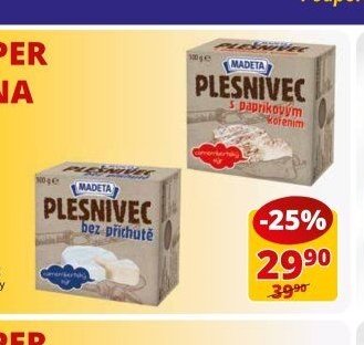 PLESNIVEC