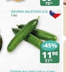 Okurka salátová
