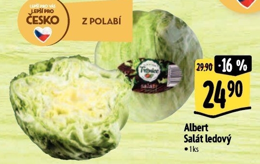 Salát ledový Albert