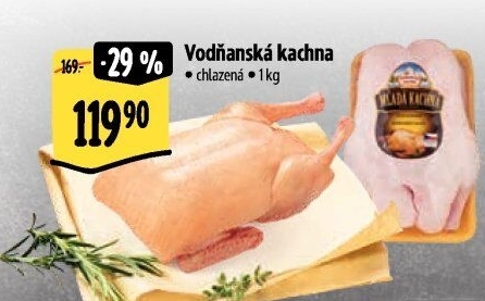 Kachna Vodňanská kachna