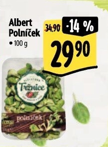 Salát polníček Albert