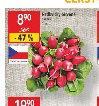 Ředkvičky červené