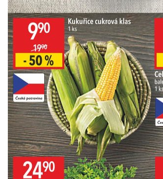 Kukuřice cukrová klas