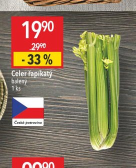 Celer řapíkatý
