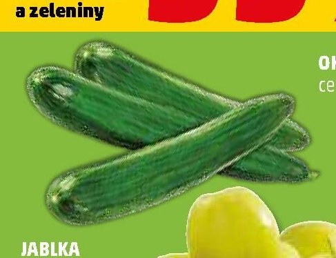 Okurka salátová