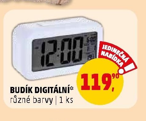 BUDÍK DIGITÁLNÍ*