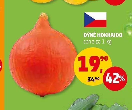 Dýně Hokkaido