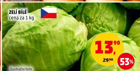 Zelí hlávkové bílé