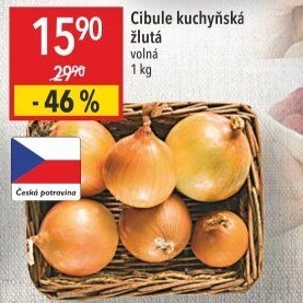 Cibule kuchyňská žlutá