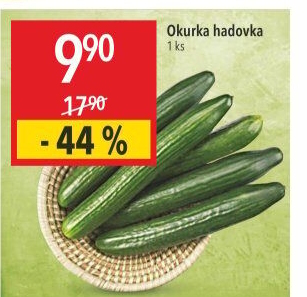 Okurka hadovka