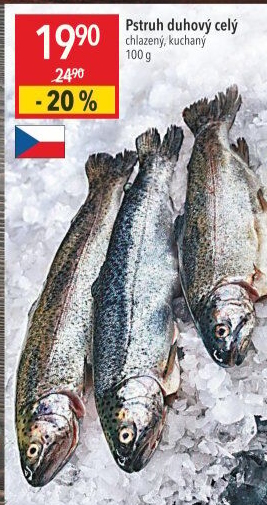 Pstruh duhový kuchaný