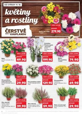 akční leták Kaufland 11.10.2023-17.10.2023