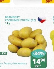 Brambory konzumní pozdní