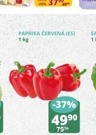 Paprika červená