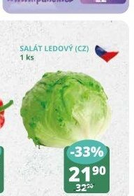 Salát ledový