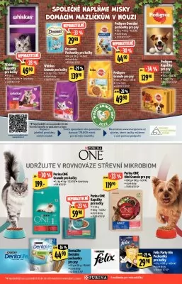 akční leták Albert 11.10.2023-24.10.2023