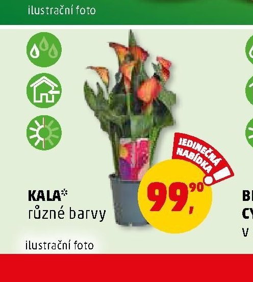 Kala různé barvy