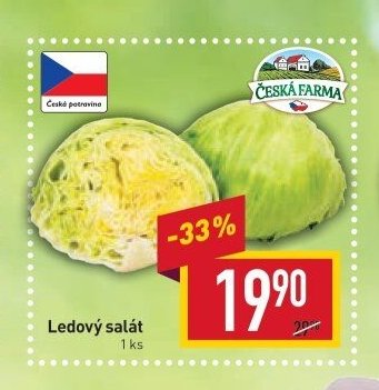 Ledový salát